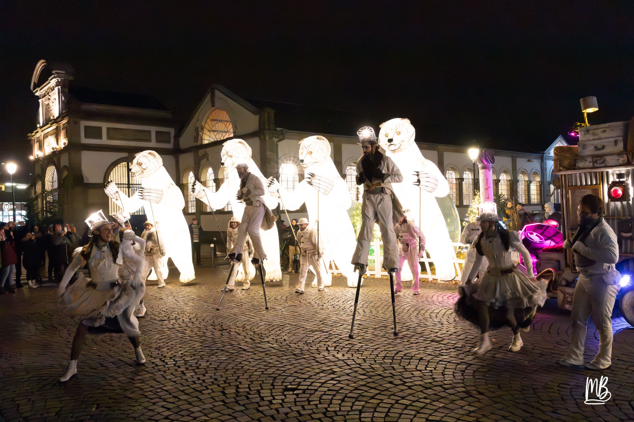 MB2024 CIE REMUE MENAGE(Gueule d'ours) (103 sur 107)